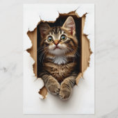 穴から覗き込みTabby Cat CN5スクラップブック紙 (正面)