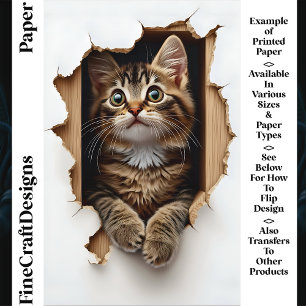 穴から顔を出すタビー猫 CN5 スクラップブックペーパー