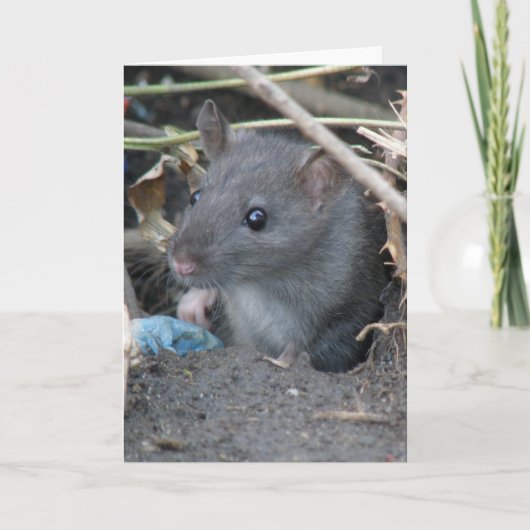 穴にネズミのグリーティングカード カード (正面)