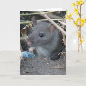 穴にネズミのグリーティングカード カード (黄色い花)