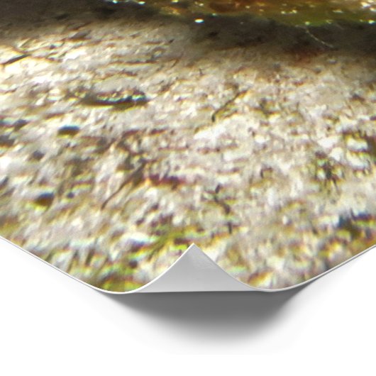 穴の中にモレーを見つけた ポスター (角)