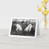 穴の犬 カード (黄色い花)