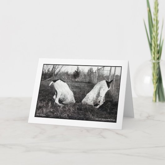 穴の犬 カード (正面)