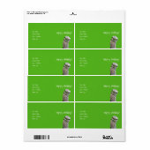 穴を掘るフクロウ ラベル (フルシート)