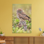 穴居性フクロウ、アテナイ、サンゴ岬 キャンバスプリント (インサイチュ (リビング))