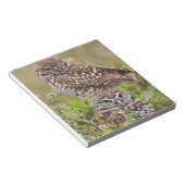 穴居性フクロウ、アテナイ、サンゴ岬 ノートパッド (アングル)