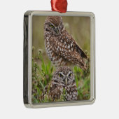 穴居性フクロウ、アテナイ、サンゴ岬 メタルオーナメント (右)