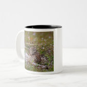 穴居性フクロウ ツートーンマグカップ (正面左)