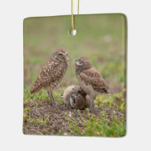 穴掘りフイルズセラミックオーナメント セラミックオーナメント (左)