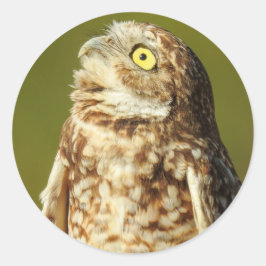 穴掘りフクロウのシール ラウンドシール