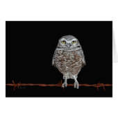 穴掘りフクロウカード (正面横)