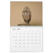 穴掘りフクロウ2026 カレンダー (3月 2026)