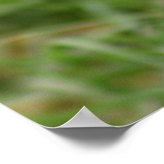 穴掘りフクロウ#1 ポスター (角)