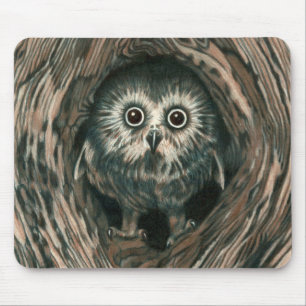 "穴"ので家フクロウのマウスパッド マウスパッド