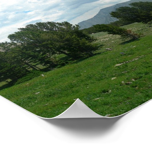 穴 ポスター (角)