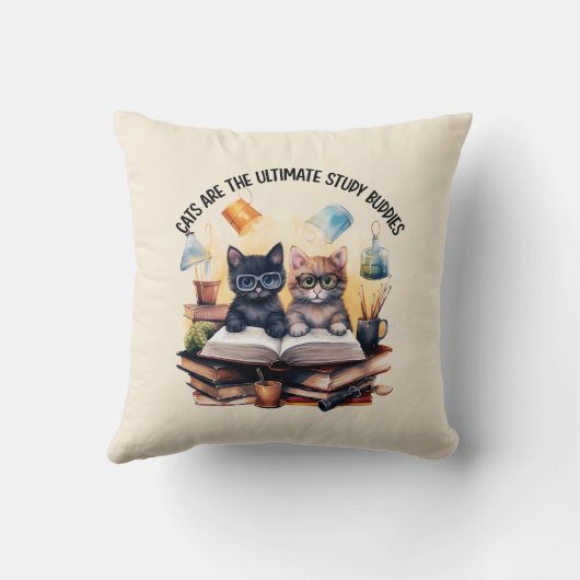 究極の勉強 クッション (裏面)