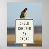 究極の皮肉 ポスター (正面)