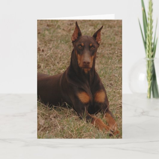 究極の看守の犬 カード (正面)