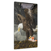 究極の禿鷲 クリップボード (右)