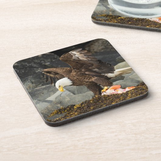 究極の禿鷲 コースター (左側)