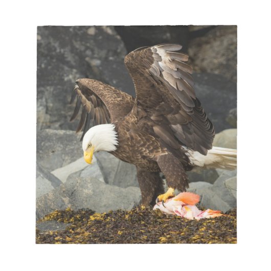 究極の禿鷲 ノートパッド (正面)