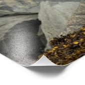 究極の禿鷲 フォトプリント            (角)