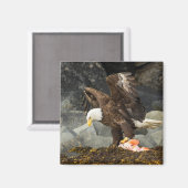 究極の禿鷲 マグネット (正面/裏面)