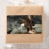 究極の禿鷲 ラベル (インサイチュ)