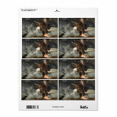 究極の禿鷲 ラベル (フルシート)