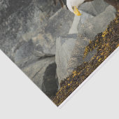 究極の禿鷲 薄葉紙 (詳細)