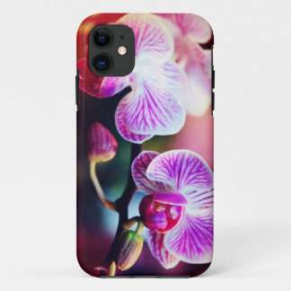 穹窖の箱"2本の蘭Colorized " iPhone 11 ケース