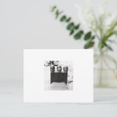 空かわいらしき ポストカード (スタンド正面)