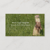 空が盛ん 名刺 (正面)