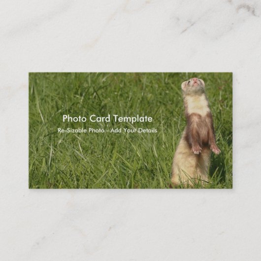 空が盛ん 名刺 (正面)