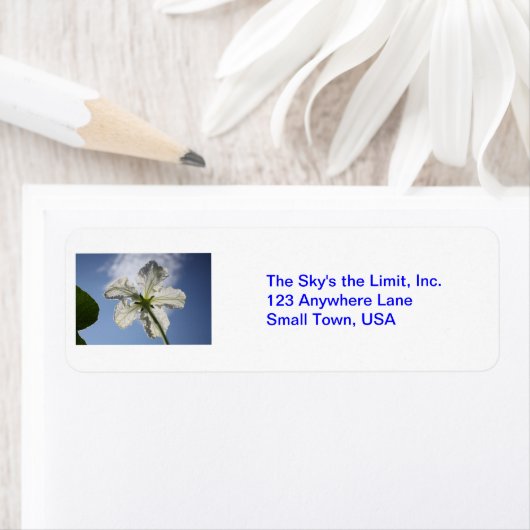 空が限界だ！ ラベル (インサイチュ)