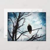 空が青く雲が広がる禿鷲 ポストカード (正面/裏面)