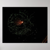 空きらめく2 ポスター (正面)