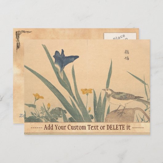 空き和隊と花くわがた渓斎浮世絵 ポストカード (正面/裏面)
