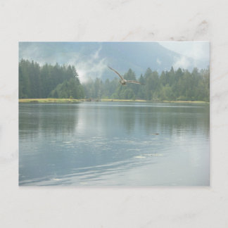 空き地 ポストカード