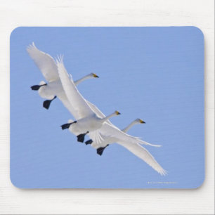 空で飛んでいる大白鳥 マウスパッド