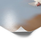 空にガチョウ フォトプリント            (角)