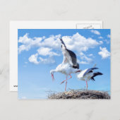 空にコウノトリ ポストカード (正面/裏面)