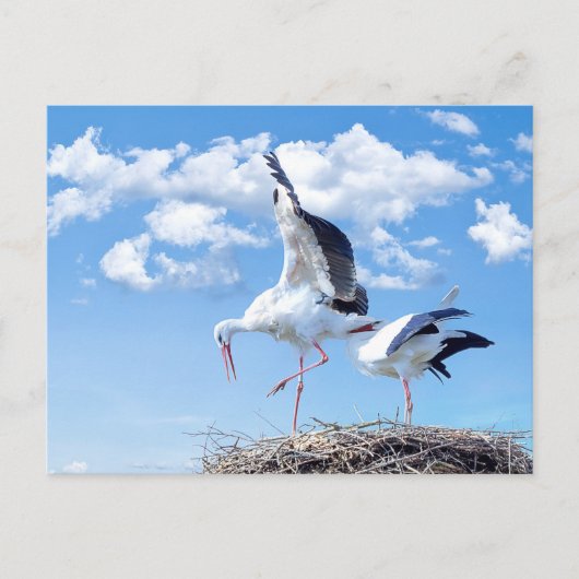 空にコウノトリ ポストカード (正面)