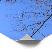 空に向かう枝 ポスター (角)