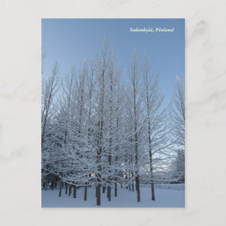 空に向かって手を伸ばす ポストカード