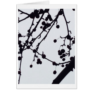 空に対する果実の木