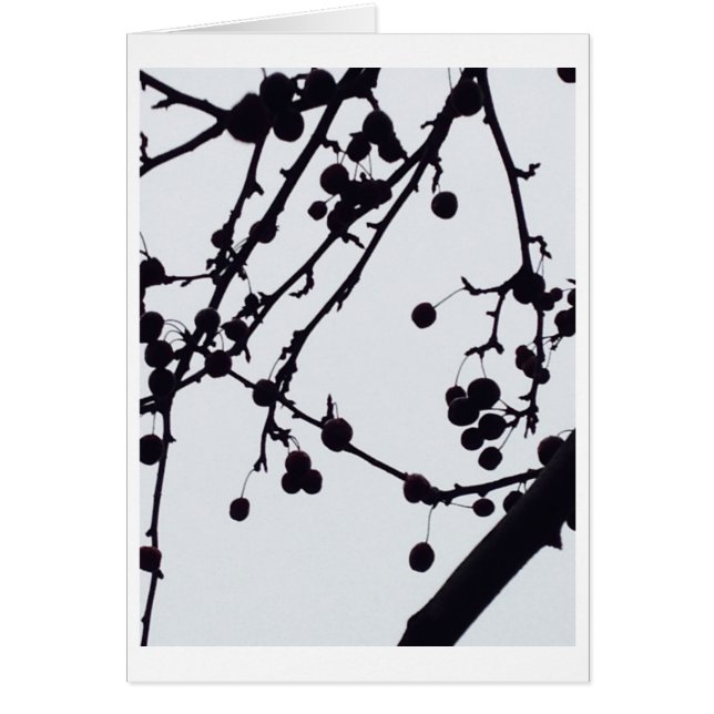 空に対する果実の木 (正面)