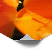 空に届くオレンジ色のチューリップ ポスター (角)