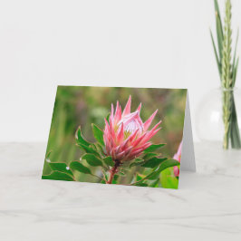 空に手を伸ばす カード