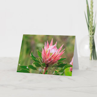 空に手を伸ばす カード